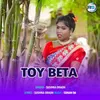 Toy Beta