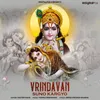 About Vrindavan Suno Kargyo Song