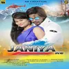 About Janiya Re Song