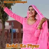 About Rohil Ko Piyar Song