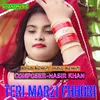 About Teri Marzi Chhori Song