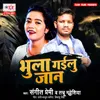 About Bhula Gailu Jaan Song