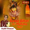 About Banke Bihari Teri Mahima Nyari Song