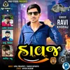 About Havaj Song