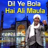 Dil Ye Bola Hai Ali Maula