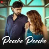 About Peeche Peeche Song