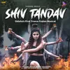 About Shiv Tandav Song