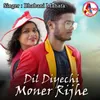 About Dil Diyechi Moner Rijhe Song