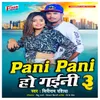 About Pani Pani Ho Gaini 3 Song