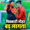 About Pichkari Tohar Bad Lagata Song