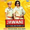 About Jawani Ke Chilam Baar La Song