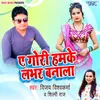 About Ae Gori Hamke Labhar Banala Song