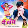 About Pani Me Chance Song
