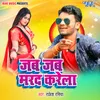 About Jab Jab Marad Karela Song