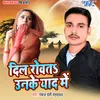 About Dil Rowata Unke Yad Me Song