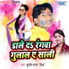 About Dale Da Rangwa Gulal Ae Sali Song