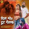 About DIL MOR TUT GELK Song
