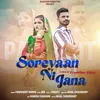 About Soreyaan Ni Jana Song