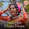 About Palas Phool Dhopa Dhopa Song