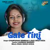 About Gate Tinj Song
