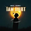 About I AM HURT Song