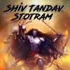 About Shiv Tandav Stotram Song