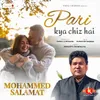 About Pari Kya Chiz Hai Song