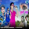 About Bhuli Gayi Song