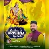 About Radha Ji Krishna Ke Sath Song