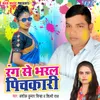 About Rang Se Bharal Pichkari Song