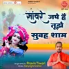 About Sanware Jape Hai Tujhe Subha Shaam Song
