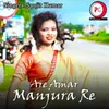 About Are Amar Manjura Re Song