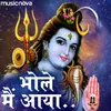 About Shiv Bhajan - Bhole Main Aaya Tere Dwar Song