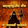 About Maha Mrityunjaya Mantra by 108 Brahmins Song