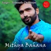 About Mithya Bahana Song