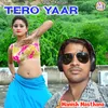 About Tero Yaar Song