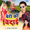 About Beti Ki Vidai Song