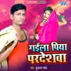 About Gaila Piya Pardeshwa Song