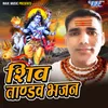 About Shiv Tandav Bhajan Song