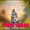 About Teri Han Song