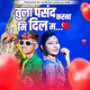 About Tula Pasand Karna Mi Dil Ma Song