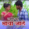 About Pyar Kar Maya Jaale Song