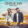 About Shauk Hai Song