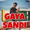 Gaya Sandi