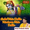 About Gokul Mein Dekho Vrindavan Mein Dekho Song