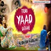 About Teri Yaad Sataave Song