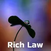 About Rich Law Song