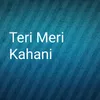 Teri Meri Kahani