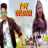About Toy Dildar Song