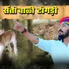 About Santo Wali Togadi Song